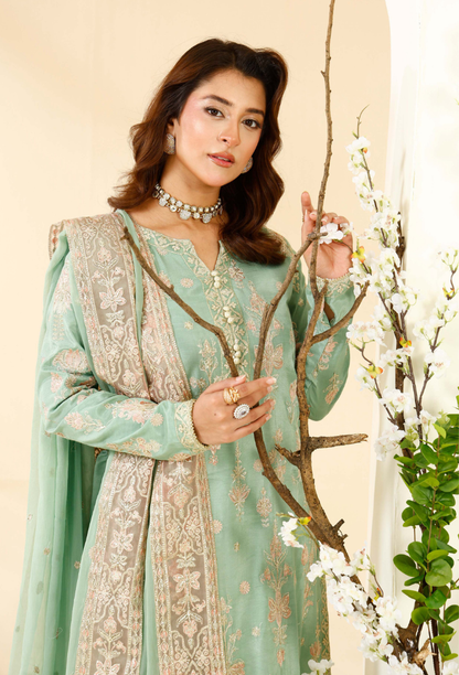 Rabt - D06 Raw Silk Pakistani Formal Dresses - Humdum - 5