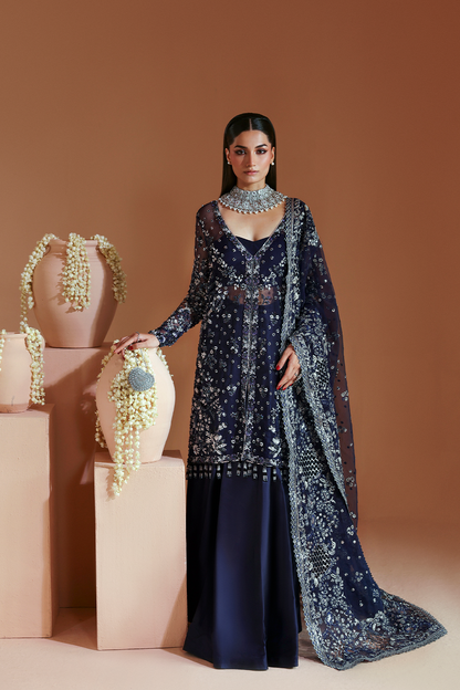 ELYSIAN Raw Silk Pakistani Formal Dresses