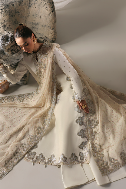 MISTY DAWN Raw Silk Pakistani Formal Dresses