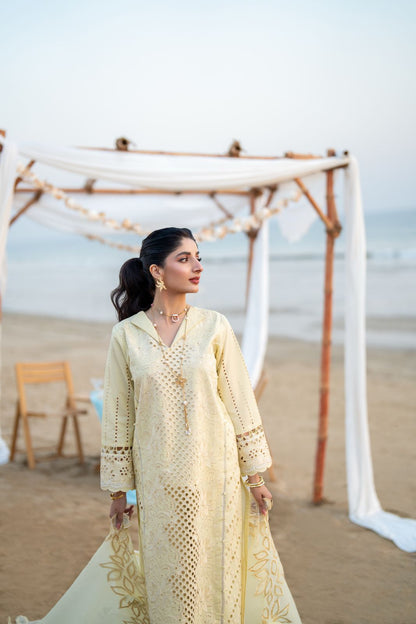 SOFINA (AS-07) Organza Pakistani Summer Dresses - aabyaan - 4