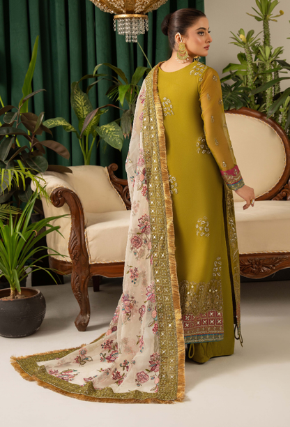 HOC - D01 Raw Silk Pakistani Formal Dresses - Humdum - 2