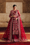 Dure Raw Silk Pakistani Formal Dresses