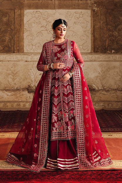 Dure Raw Silk Pakistani Formal Dresses