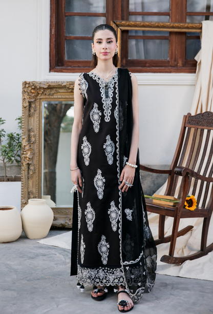 Meraki'2 - D01 Organza Pakistani Summer Dresses - Humdum - 1