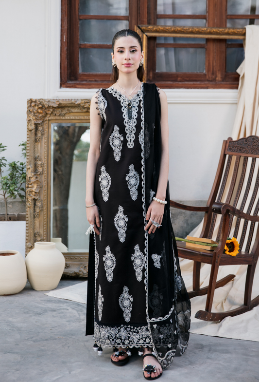 Meraki'2 - D01 Organza Pakistani Summer Dresses - Humdum - 1