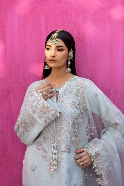 CEALINA Raw Silk Pakistani Formal Dresses