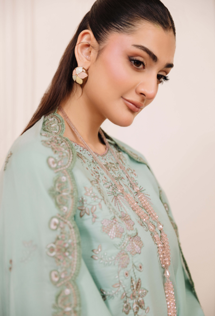 Mirha'2 - D10 Organza Pakistani Summer Dresses - Humdum - 4