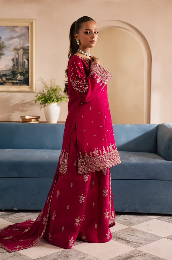 Gulnar Raw Silk Pakistani Formal Dresses - Emaan Adeel - 3