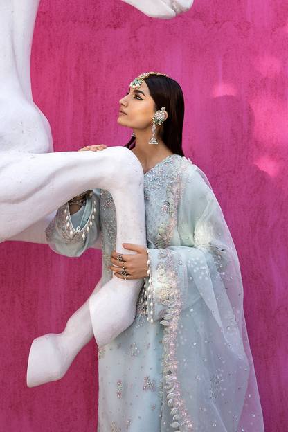CEALINA Raw Silk Pakistani Formal Dresses