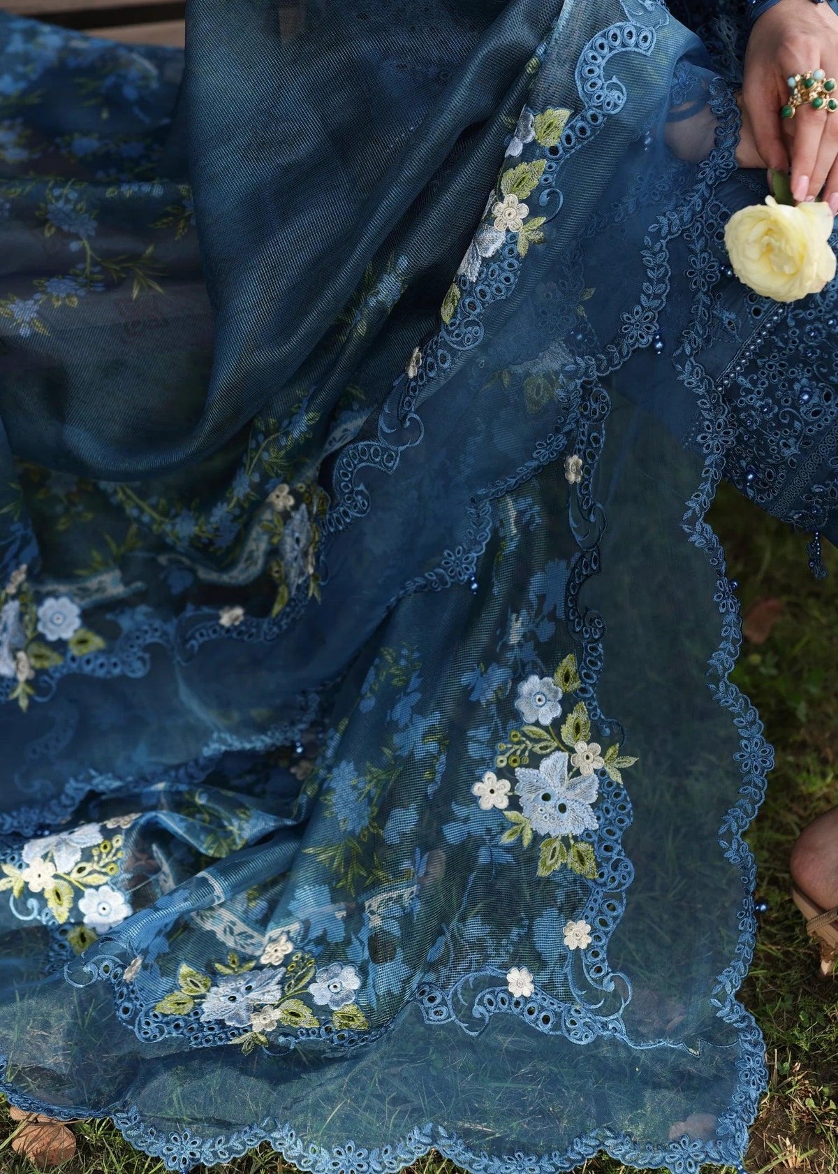 BLUE BLOSSOMS