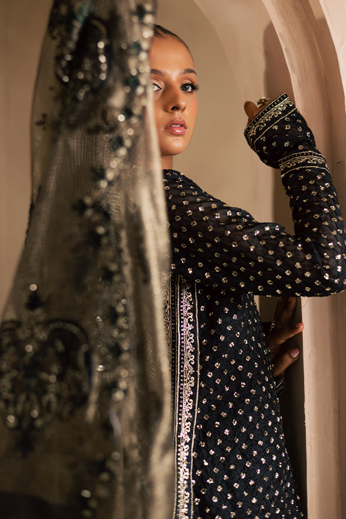 Meshki Raw Silk Pakistani Formal Dresses - Emaan Adeel - 8