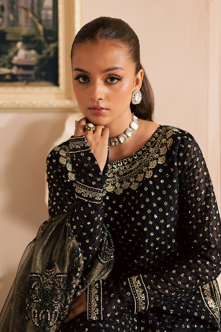 Meshki Raw Silk Pakistani Formal Dresses - Emaan Adeel - 6