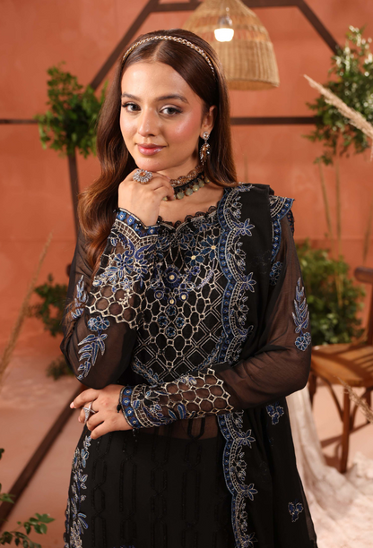 Heer-D10 Organza Pakistani Formal Dresses - Humdum - 4