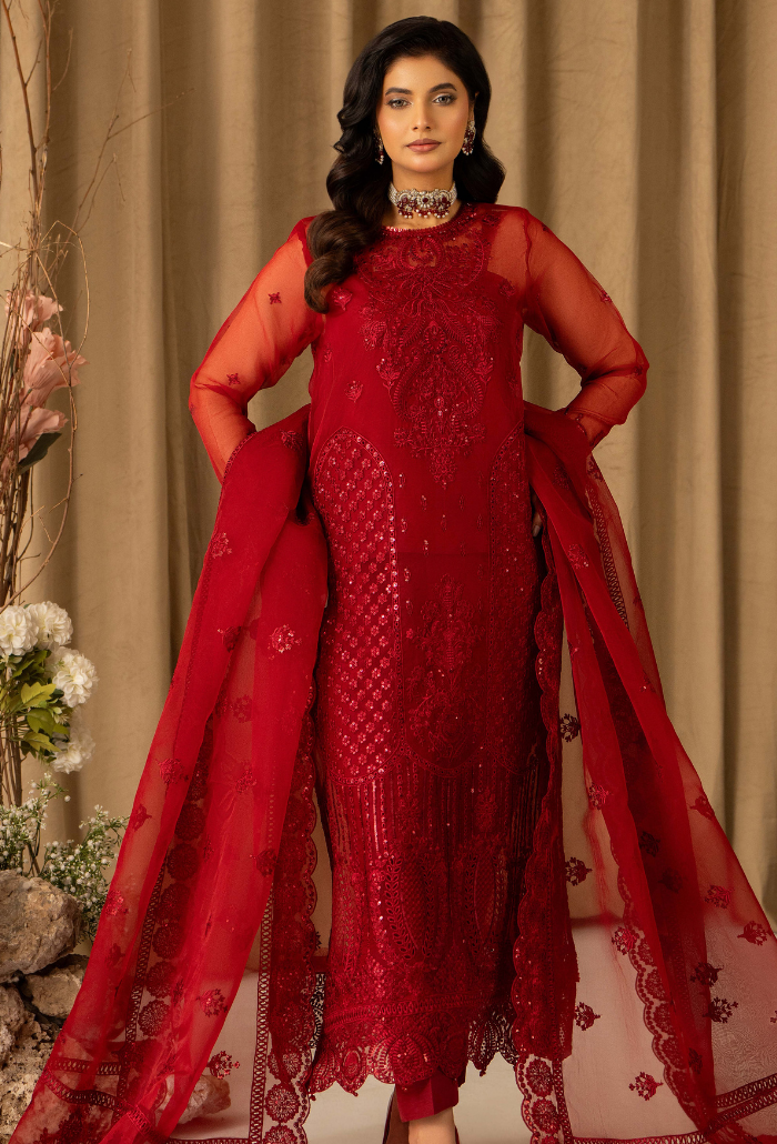 HOC - D13 Raw Silk Pakistani Formal Dresses - Humdum - 4