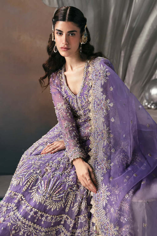 Eloah Organza Pakistani Formal Dresses - Afrozeh - 2