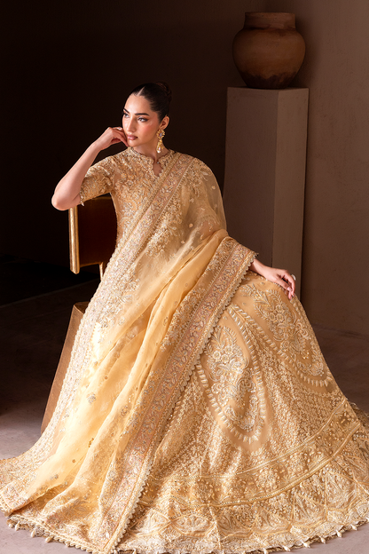Seren Pakistani Formal Dresses Collection