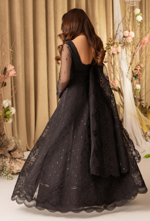 HOC - D15 Raw Silk Pakistani Formal Dresses - Humdum - 2