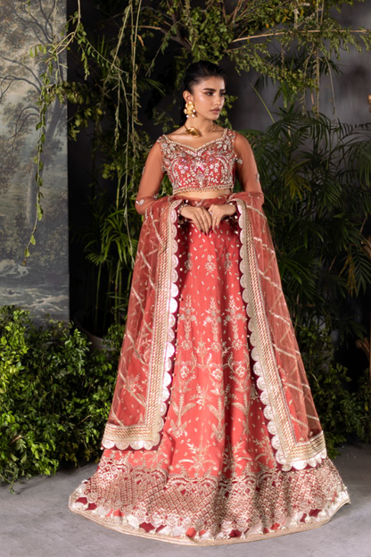 Ember Rose Pakistani Formal Dresses Collection