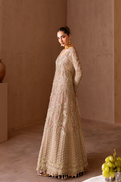 CELESTIAL Luxury Pakistani Fashion