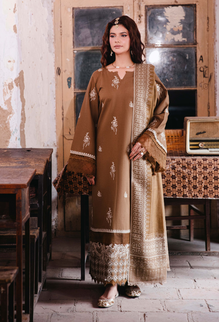 ONORA CHAPTER 2 - D08 Organza Pakistani Winter Dresses - Humdum - 2
