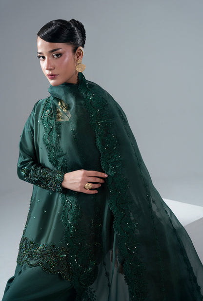 Esmera Organza Pakistani Formal Dresses - AJR Couture - 9