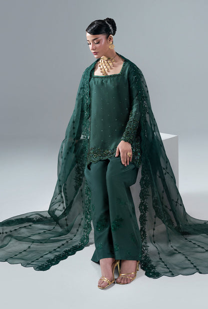 Esmera Organza Pakistani Formal Dresses - AJR Couture - 10