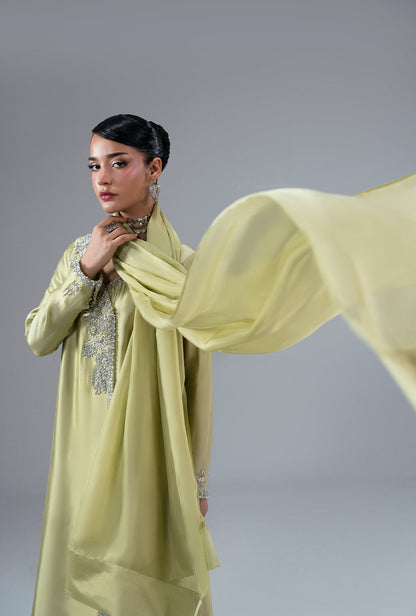 Gold Dust Silk Pakistani Formal Dresses - AJR Couture - 6