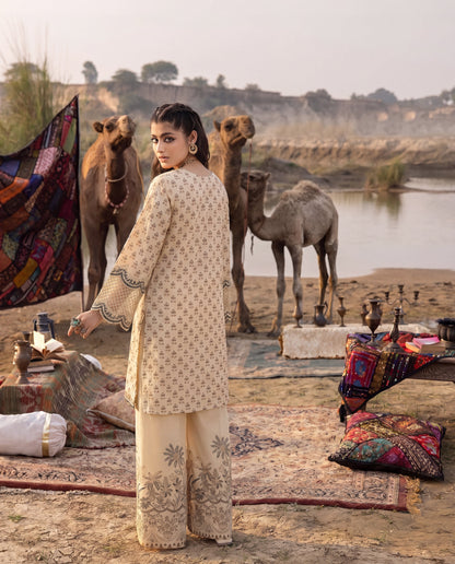 Amberveil Premium Fabric Pakistani Summer Dresses - Sahiba-clothing - 3