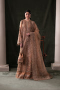 Hessonite Raw Silk Pakistani Formal Dresses - Emaan Adeel - 1