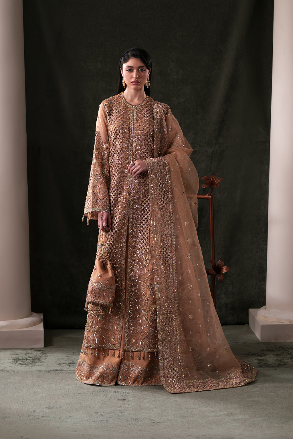 Hessonite Raw Silk Pakistani Formal Dresses - Emaan Adeel - 1