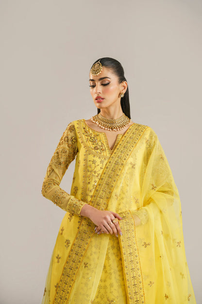 Hareem Organza Pakistani Formal Dresses