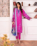 Novah Organza Pakistani Summer Dresses - Roheenaz - 1