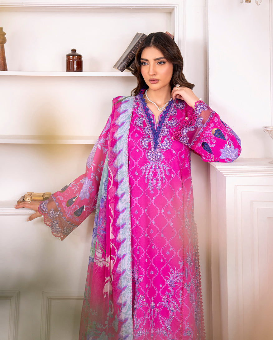 Novah Organza Pakistani Summer Dresses - Roheenaz - 3