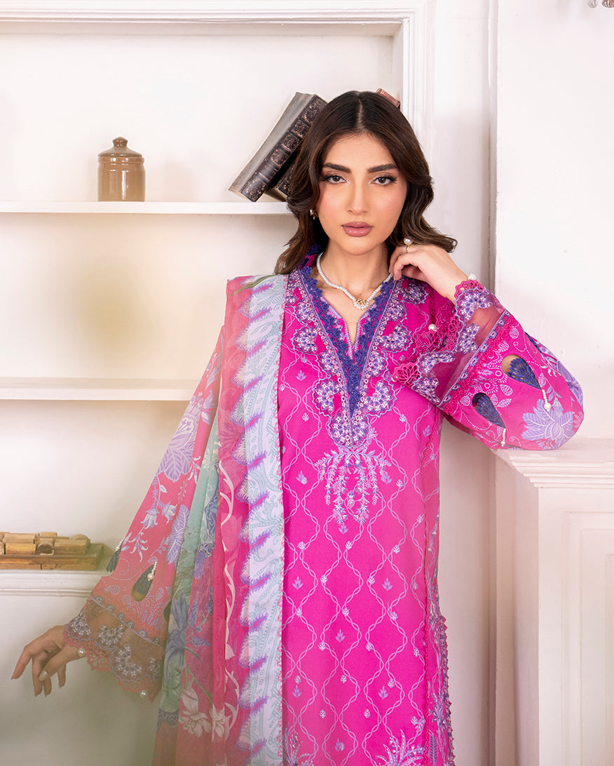 Novah Organza Pakistani Summer Dresses - Roheenaz - 4