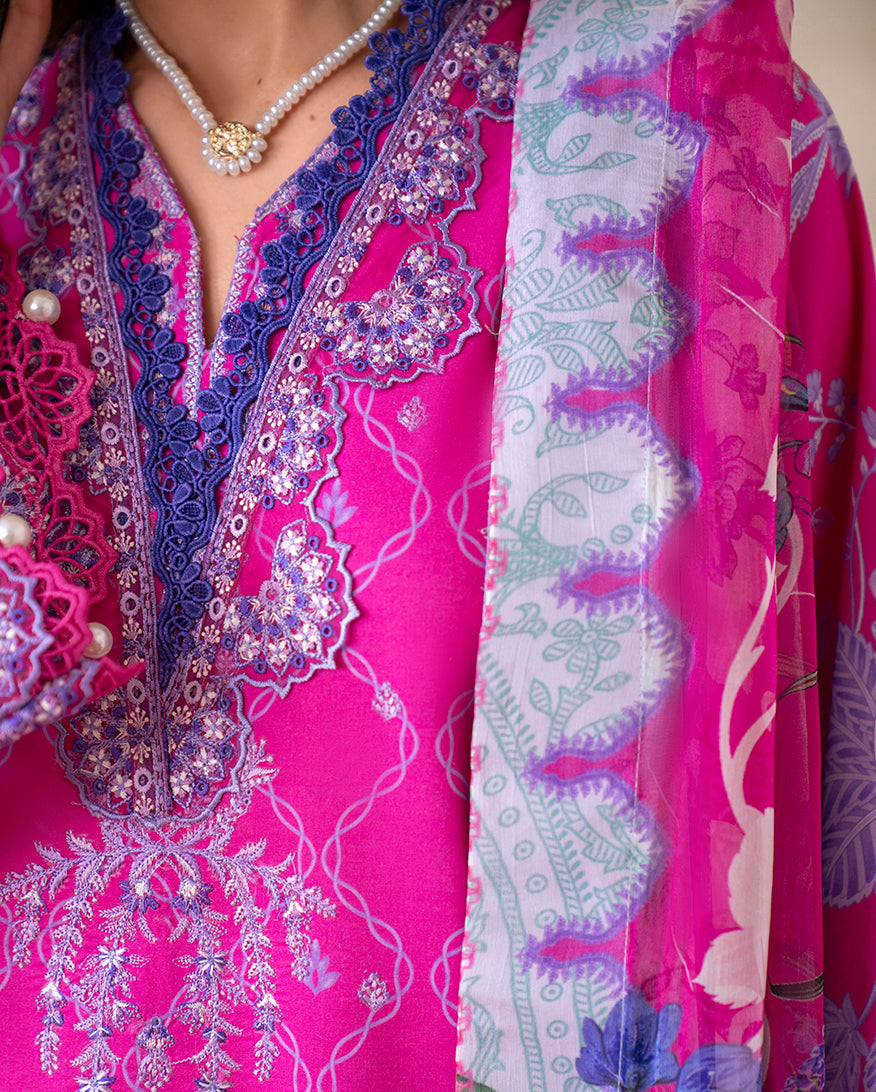 Novah Organza Pakistani Summer Dresses - Roheenaz - 9
