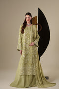 NOLA Raw Silk Pakistani Formal Dresses - Emaan Adeel - 1
