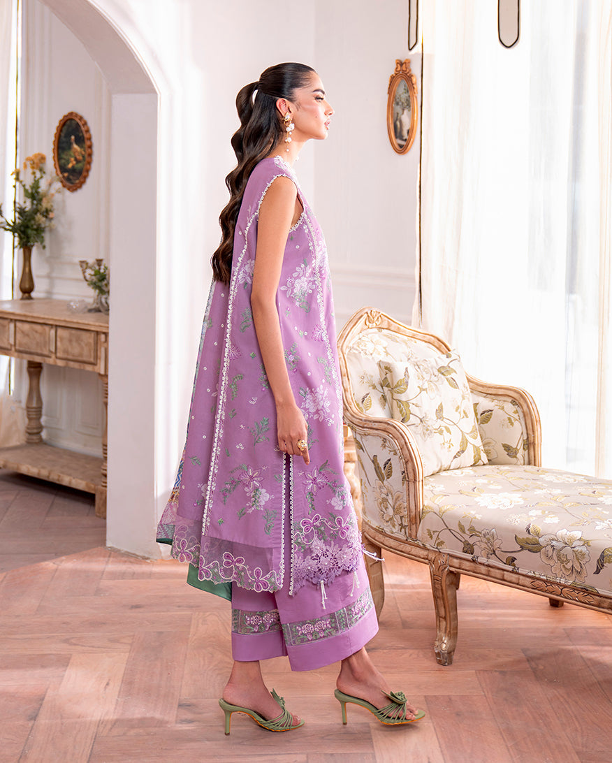 Laila Organza Pakistani Summer Dresses - Roheenaz - 2