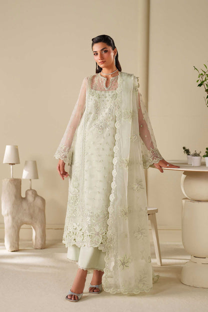 Elan Raw Silk Pakistani Casuals Dresses