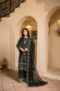 Emeralda Raw Silk Pakistani Formal Dresses - Sidra Aleem - 1