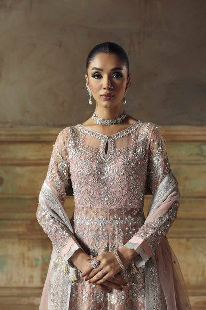 Glamarous Raw Silk Pakistani Formal Dresses - Zyra - 3