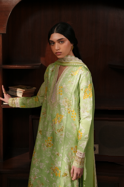 Ciel Organza Pakistani Summer Dresses - Afrozeh - 5