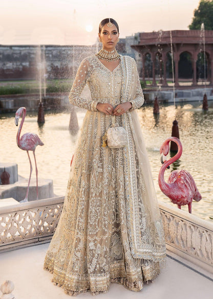 Noor Jahan Raw Silk Pakistani Formal Dresses