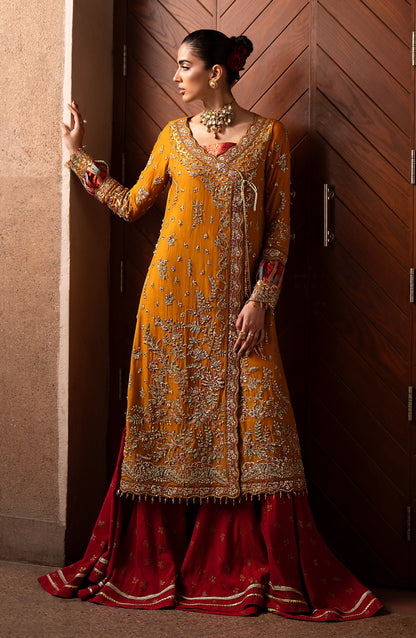 SOLENE Pakistani Formal Dresses Collection