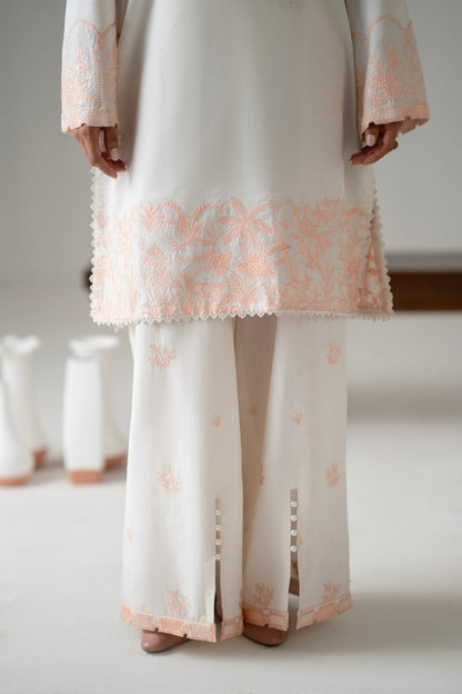 Ayna Cotton Pakistani Summer Dresses - Akbar Aslam - 4
