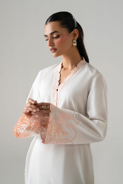 Ayna Cotton Pakistani Summer Dresses - Akbar Aslam - 7