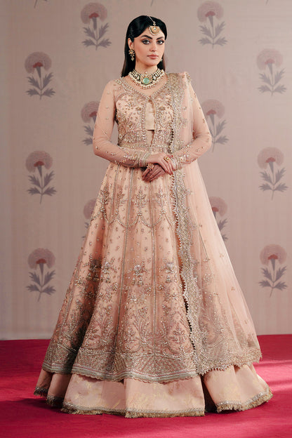 Dilara Raw Silk Pakistani Formal Dresses