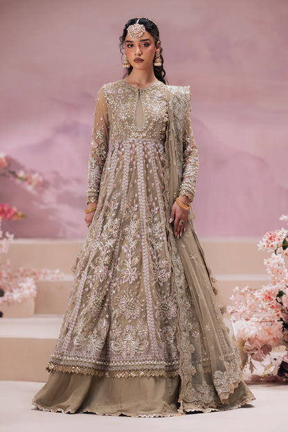 Zaib Pakistani Designer Dress