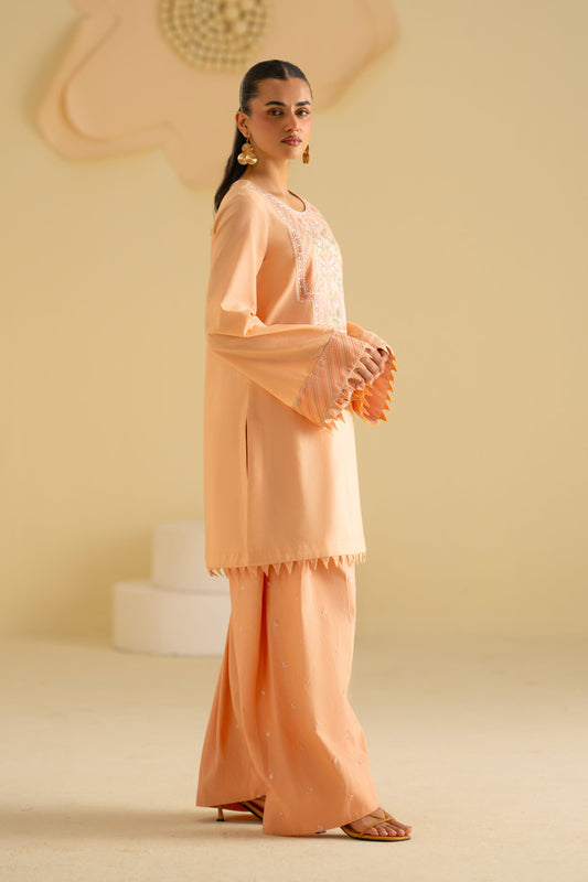 Lamis Cotton Pakistani Summer Dresses - Akbar Aslam - 2