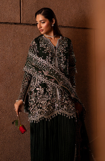 ARISTA Embroidered Pakistani Dress