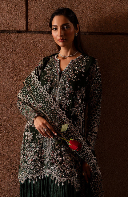 ARISTA Embroidered Pakistani Dress